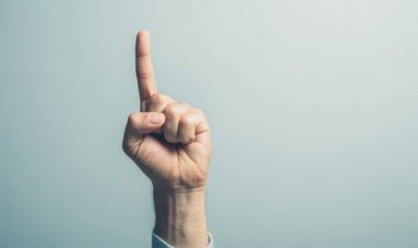 Sklep Vlade RS - PROTEST in POZIV